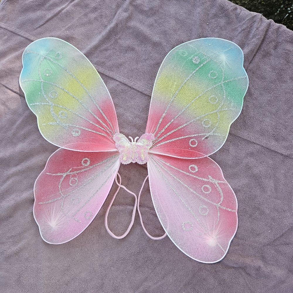 Multi colored angel wings